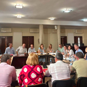Reunión de los municipios afectados por incendio de la Sierra Oeste con la CAM